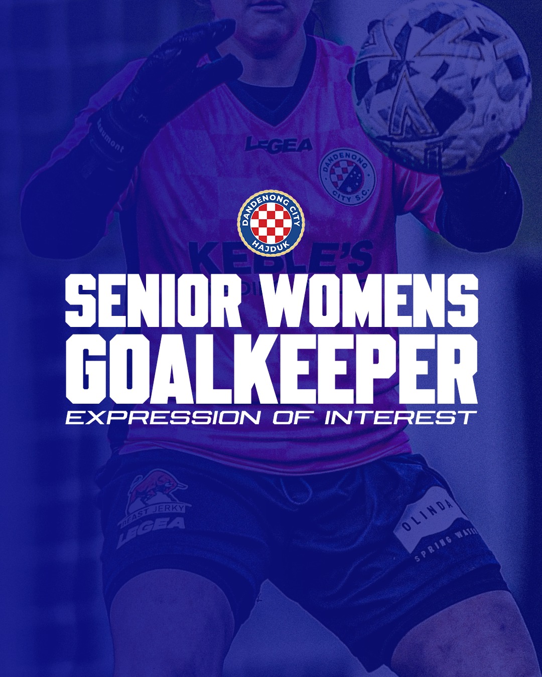 Senior Women Goalkeeper Wanted